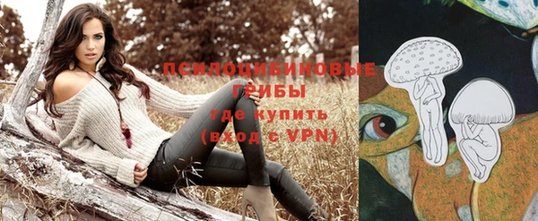 2c-b Краснотурьинск