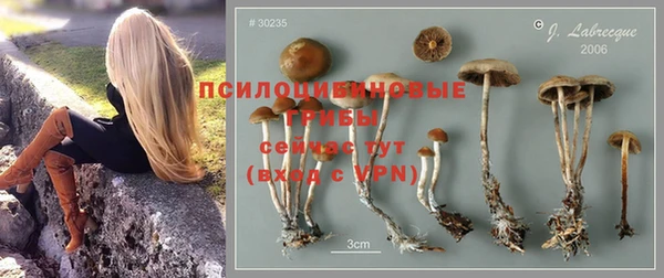 эйфоретик Красноперекопск