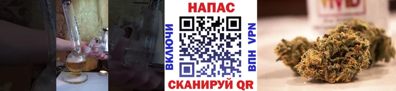 Купить где  Калининск  Конопля тримм 